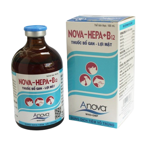 هيبا B12 (100مل)